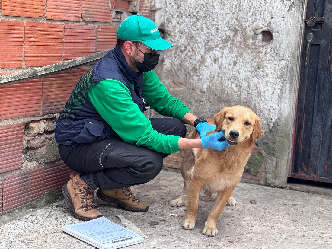 IDPYBA rescata a 10 animales víctimas de maltrato  en un presunto criadero
